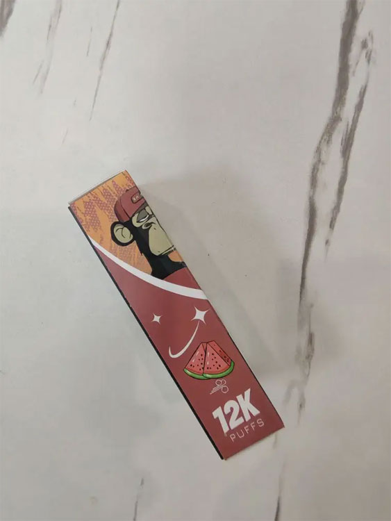 Sicher reisen: E-Zigarette im Handgepäck im Flugzeug mitführen