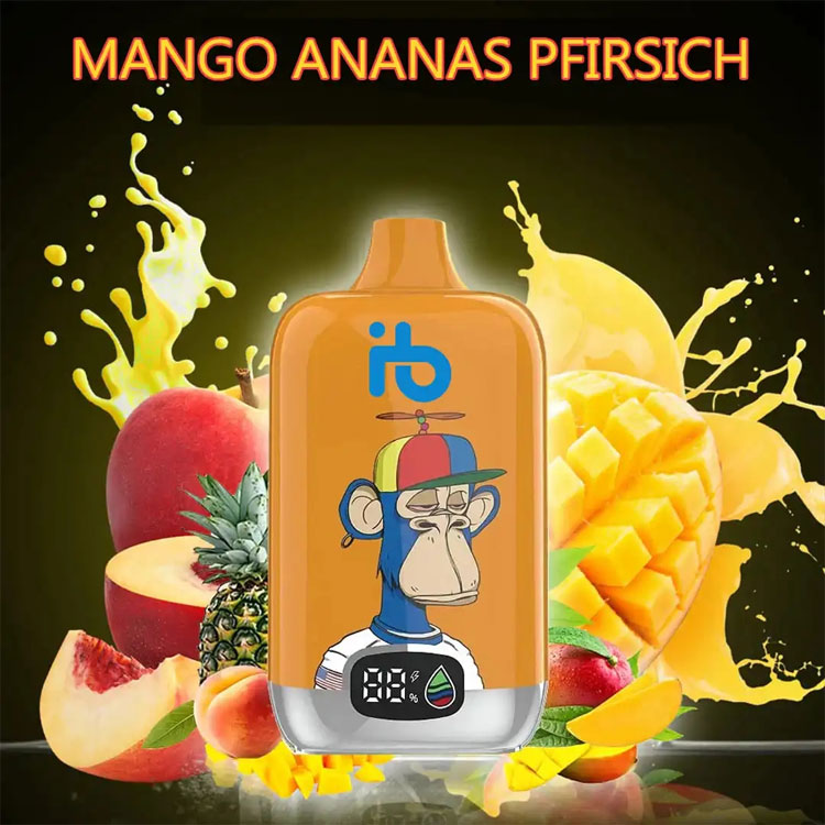 Tipps und Regeln: E-Zigaretten im Flugzeug sicher transportieren