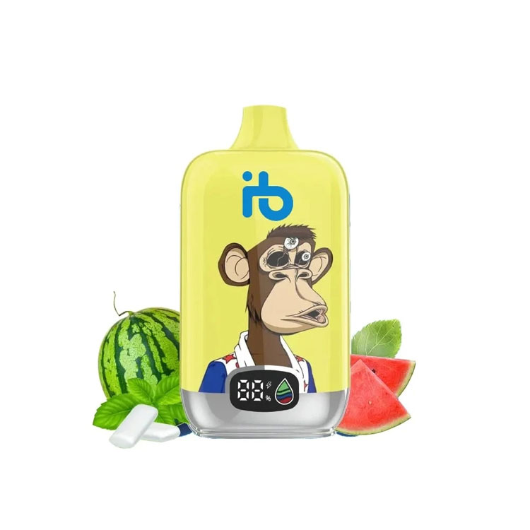 Sicher und stressfrei: E-Zigarette im Handgepäck auf Flugreisen mitführen