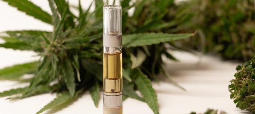 Vape erleben Die besten Vape Tipps und CBD E Zigarette ohne Nikotin entdecken